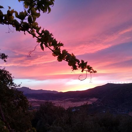 Finca La Piedra Holidays อะโลรา ภายนอก รูปภาพ