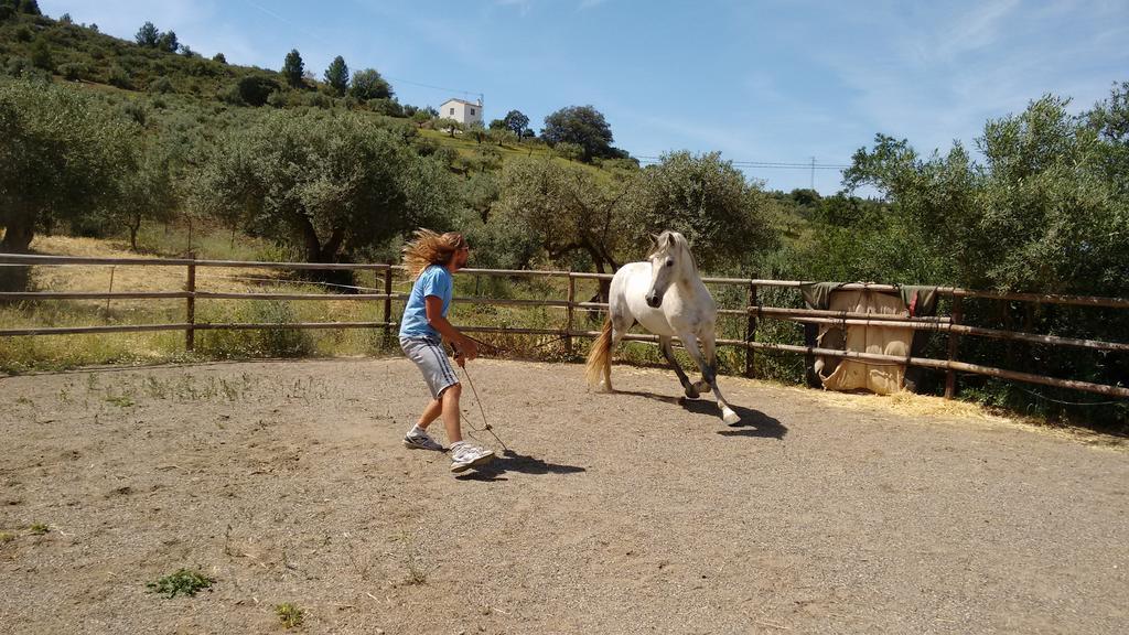 Finca La Piedra Holidays อะโลรา ภายนอก รูปภาพ