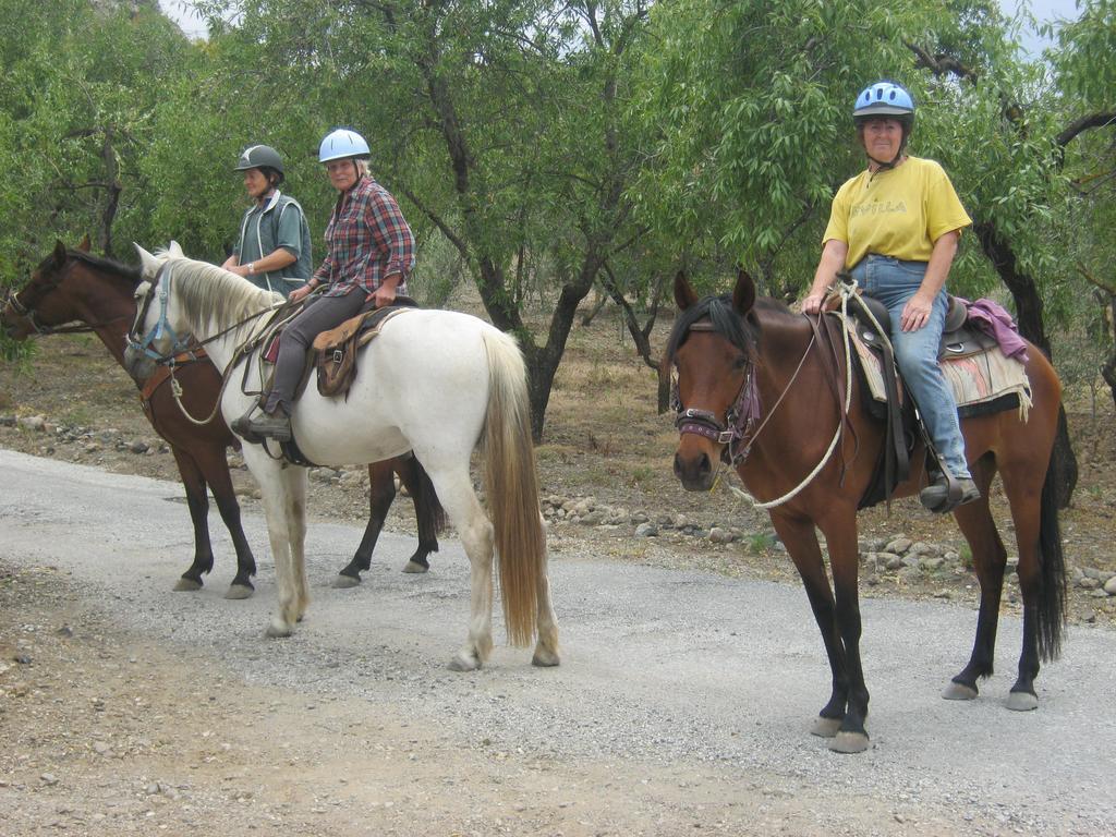 Finca La Piedra Holidays อะโลรา ภายนอก รูปภาพ