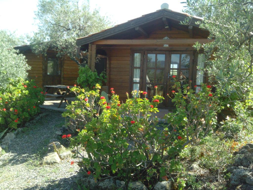 Finca La Piedra Holidays อะโลรา ห้อง รูปภาพ